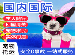 烟台空运代理国际宠物托运 【国